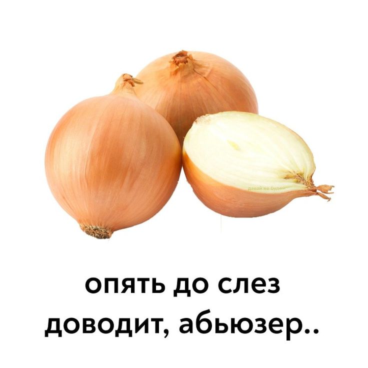 Правила гидры сайт omg ssylka onion com
